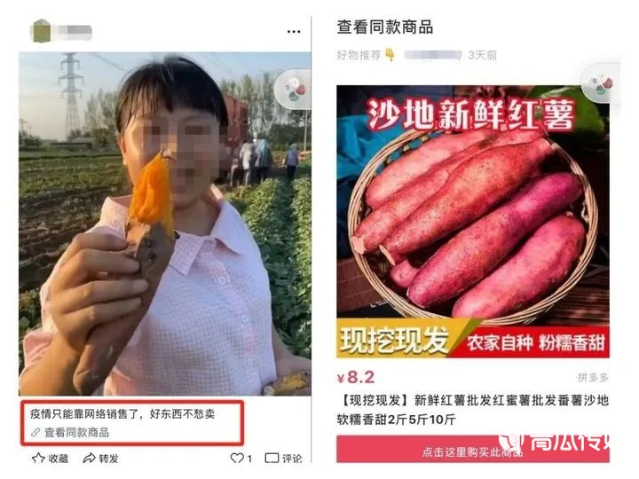 高质量视频号运营指南！ 视频号运营 第27张