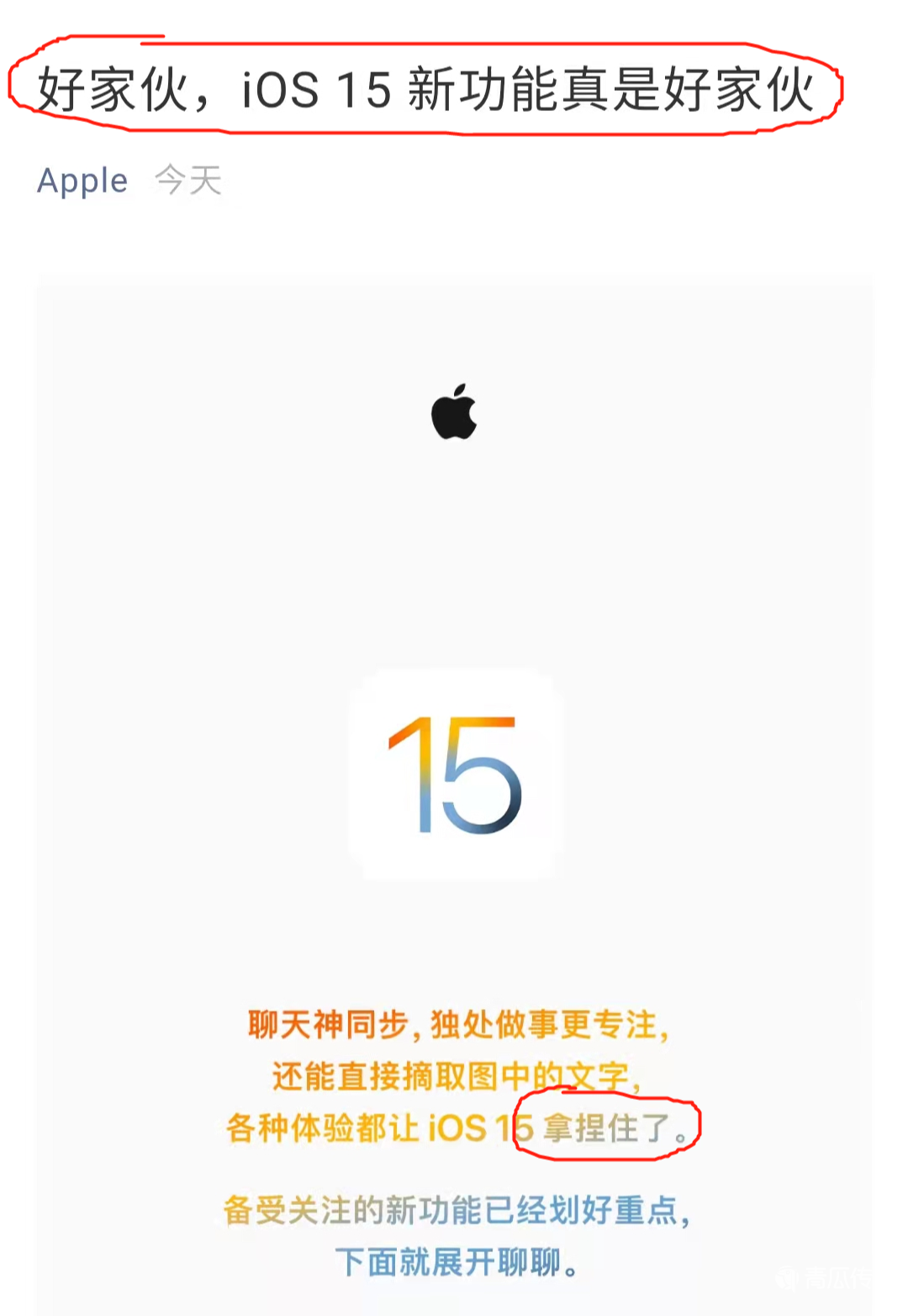苹果新文案，罗永浩：没文化 苹果文案 第3张